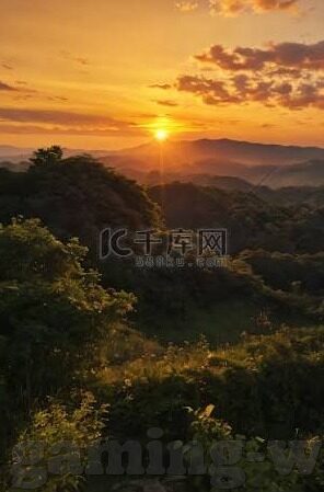 九游加速器下载-九游加速器，提升游戏速度的明智选择