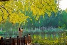 开云体育平台官方网站-开云体育平台官方网站，提升在线体育博彩体验的平台