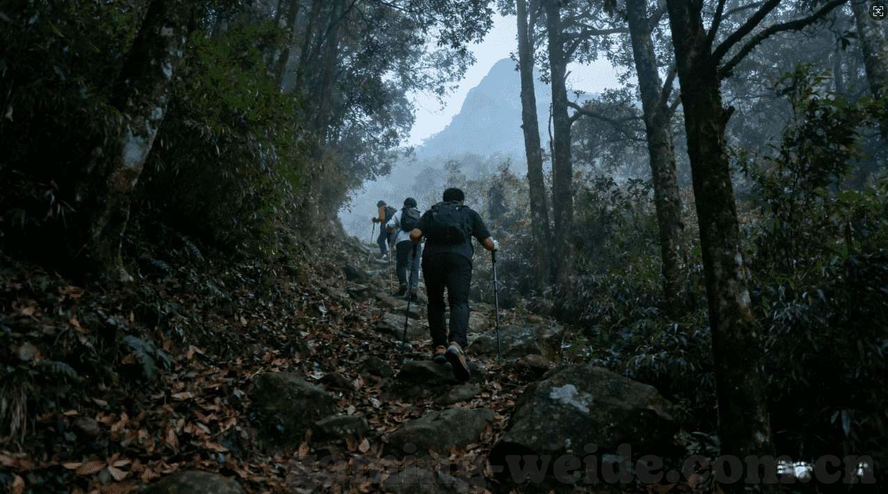 qq炫舞世界杯竞猜-qq炫舞世界杯竞猜，舞动激情，竞逐荣耀